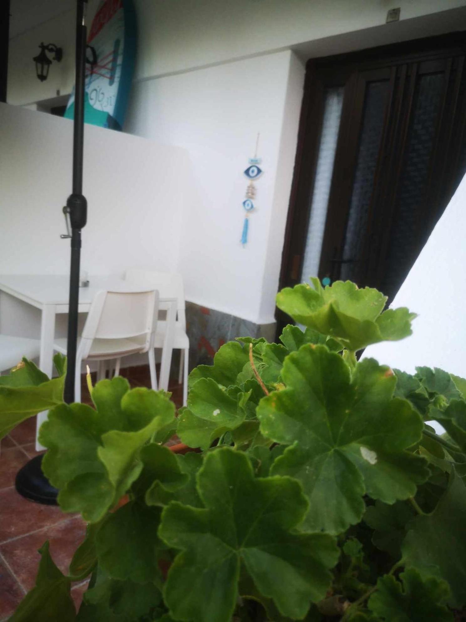 Achillion B&B Paralía Skotínis Buitenkant foto